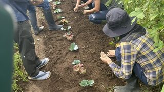 🌱10月のガッテン農法セミナー🌱